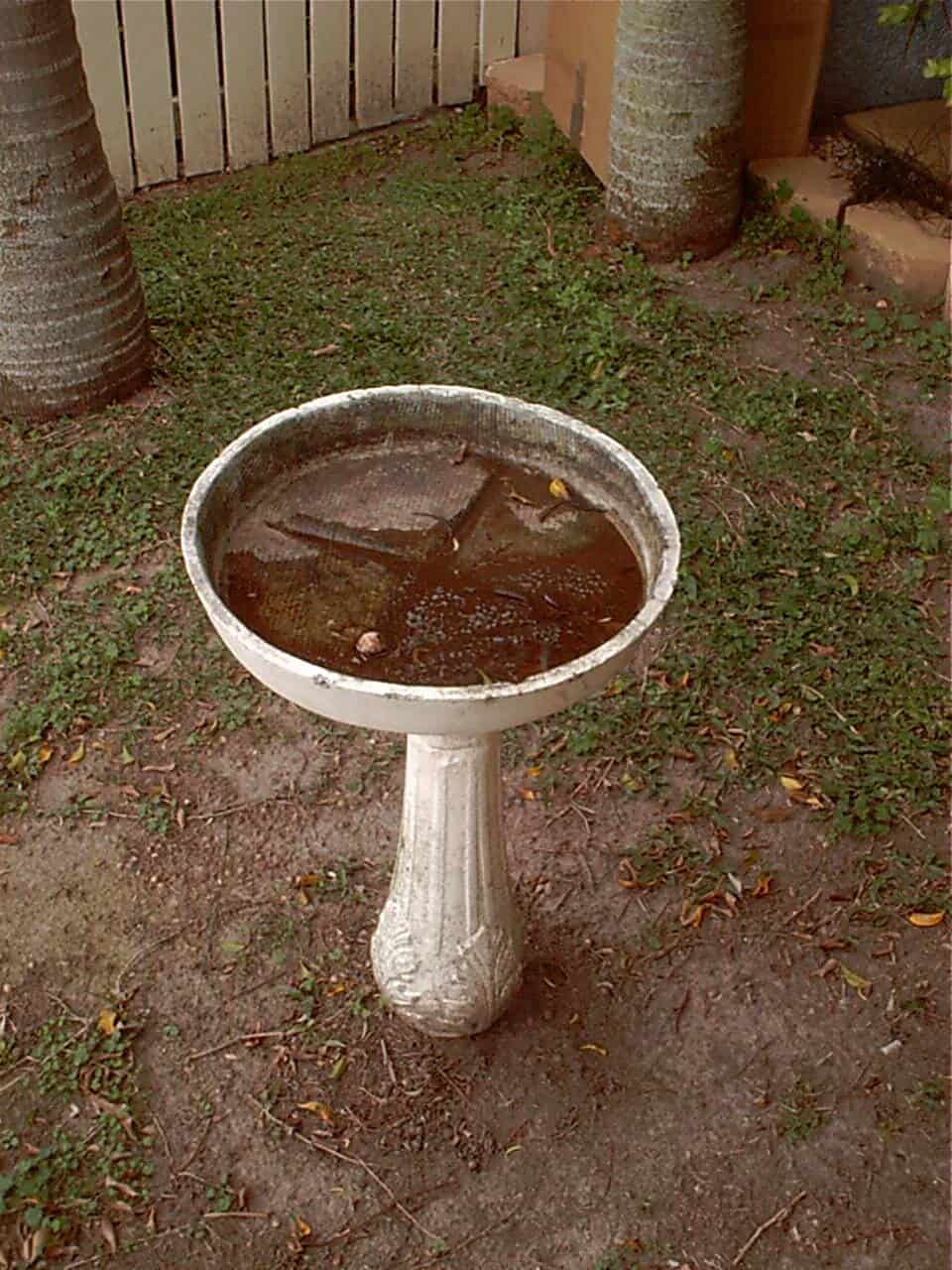 Asbestos Audits Queensland AAQ PL - Birdbath can contain Asbestos